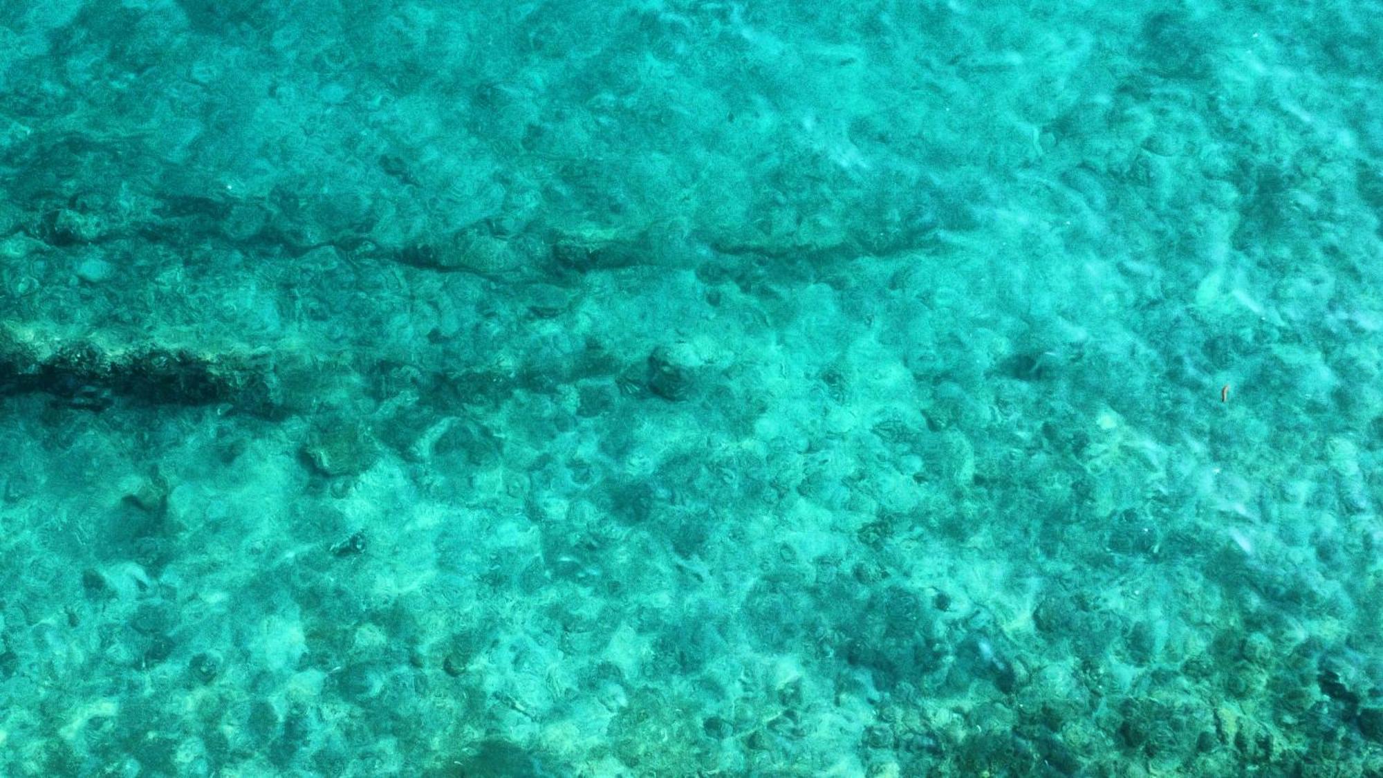 Amfora Maris Apartment Split Dış mekan fotoğraf